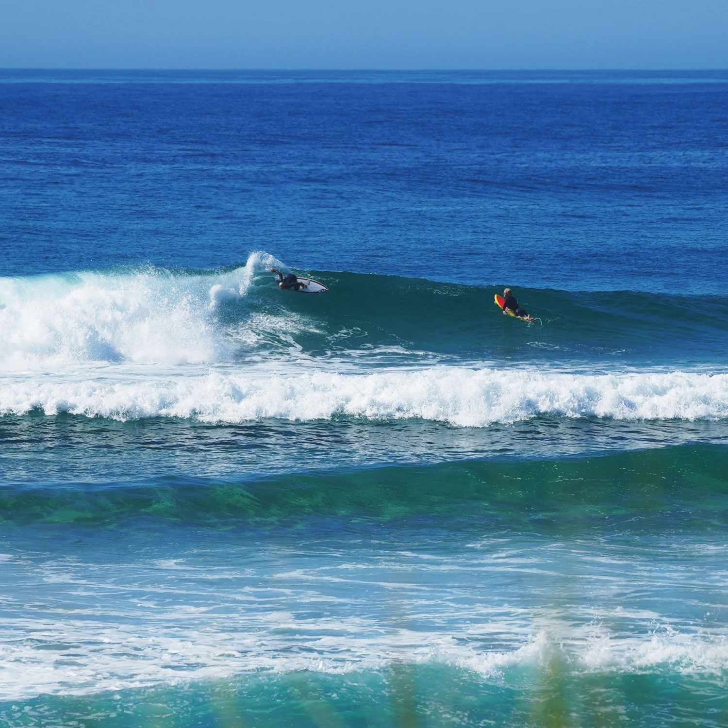 Boys Free Flex Back Zip Spring Suit - 2mm - Image 5