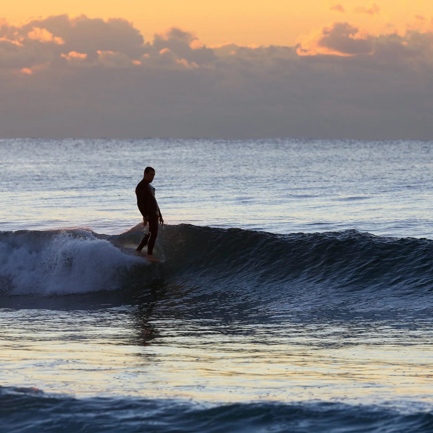 Longboard Premium One-XT - 9ft - Image 2