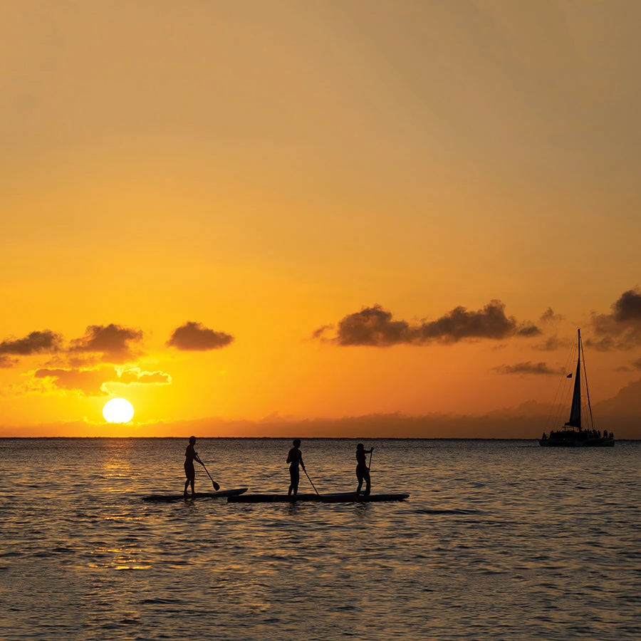 Kids Fibreglass Shaft SUP Paddle - Image 2