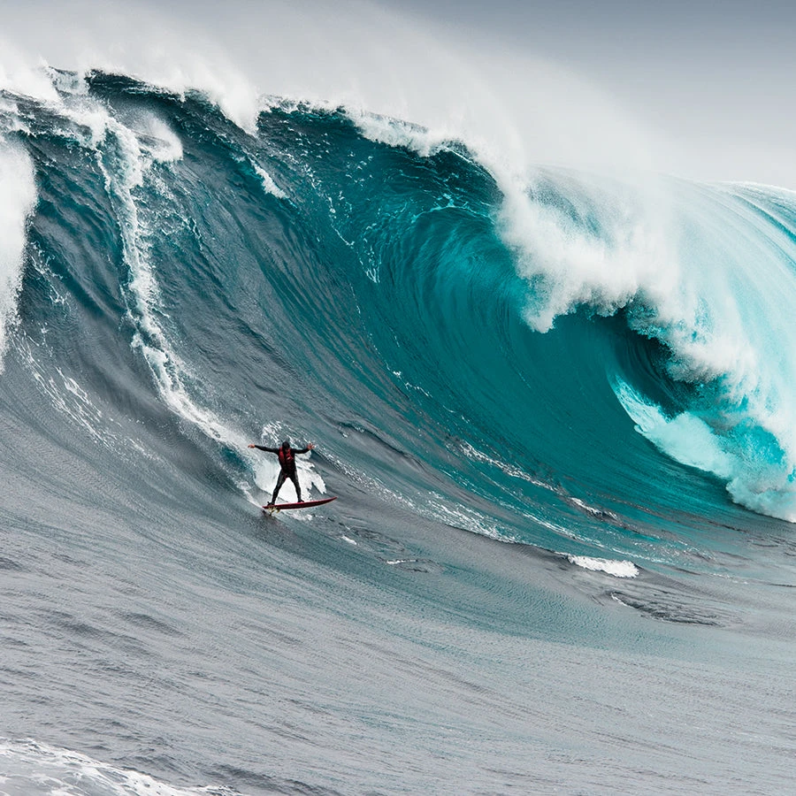 Tow Sled Hardware 316 Stainless 8mm Bow Shackle - Image 2