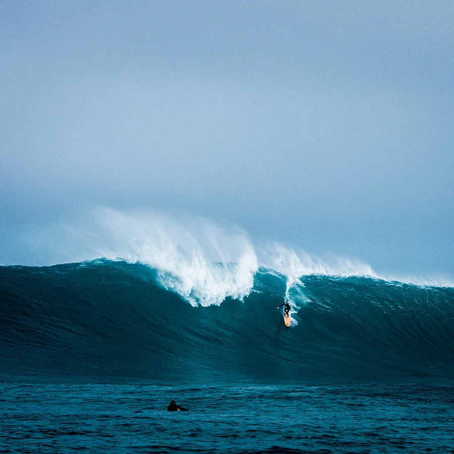 Tow Sled Hardware 316 Stainless Quick Release Shackle - Image 2